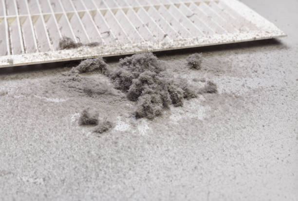 Best Dryer Vent Cleaning Services  in South Pittsburg, TN