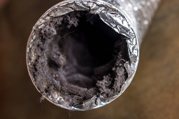 Best Emergency Air Duct Cleaning  in South Pittsburg, TN